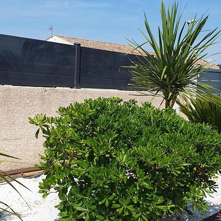 La Villa de l'Olivier piscine privée et parking Carcassonne Esterno foto