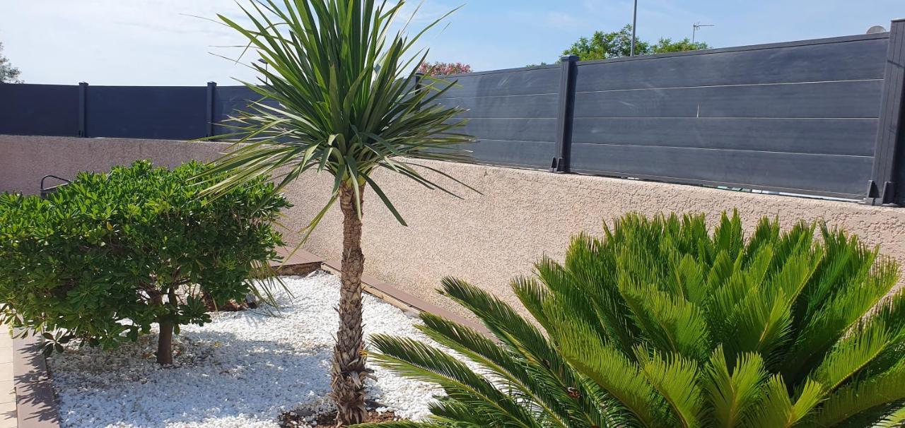 La Villa de l'Olivier piscine privée et parking Carcassonne Esterno foto