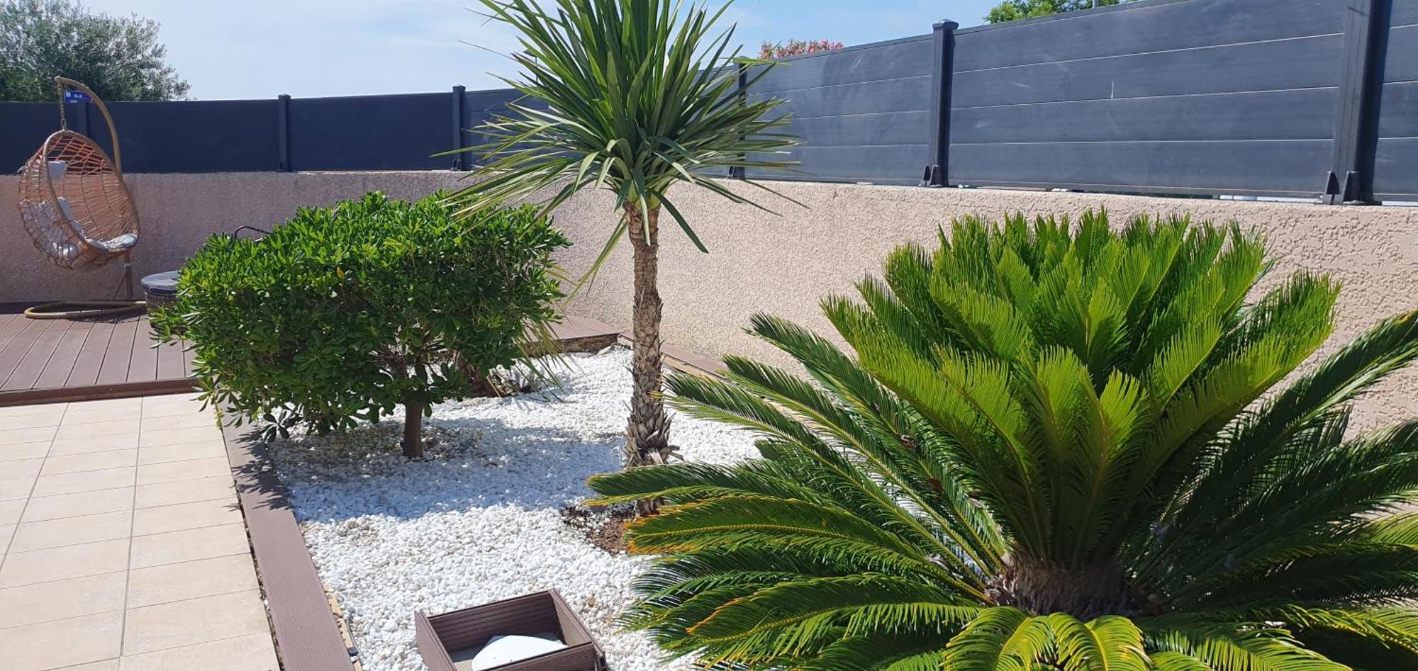 La Villa de l'Olivier piscine privée et parking Carcassonne Esterno foto